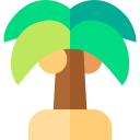 palmera icon