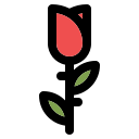 rosa icon