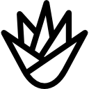 pele icon