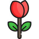 rosa icon