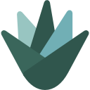 pele icon