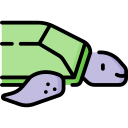 tortuga icon