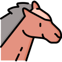 caballo icon