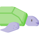 tortuga icon