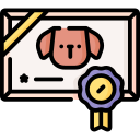 certificado icon