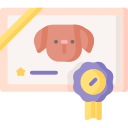 certificado icon