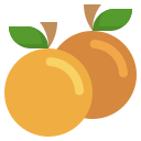 naranja icon