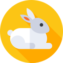 conejo icon