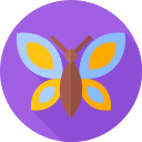 mariposa icon