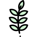 aceituna icon