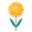 girasol icon