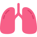 pulmones 