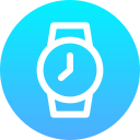 reloj icon