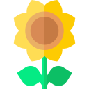 girasol icon