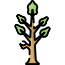 Árbol icon