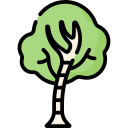 Árbol icon