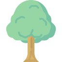 Árbol icon