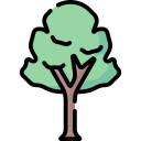 Árbol icon