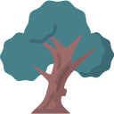 Árbol icon