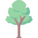 Árbol icon