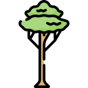 Árbol