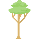 Árbol icon