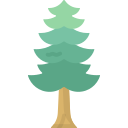 Árbol icon