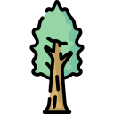 Árbol icon