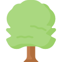 Árbol icon