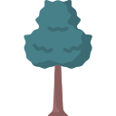 Árbol icon