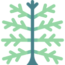 Árbol icon