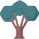 Árbol icon