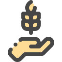 limosna icon