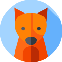 Avatar, dog, profile picture, animal face, cute, user, account icon -  Download on Iconfinder