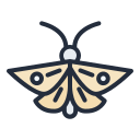 polilla icon