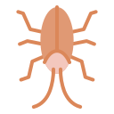 cucaracha icon