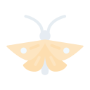 polilla icon