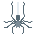 araña icon