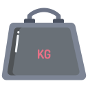 kilogramo icon