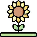 girasol icon