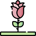 rosa icon