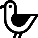 gaviota icon