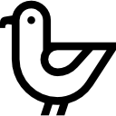 gaviota icon