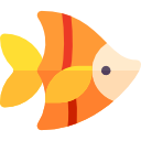 pescado