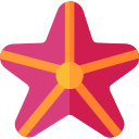 estrella de mar