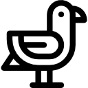 gaviota icon