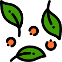 ensalada icon