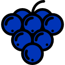 uvas icon