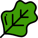 ensalada icon