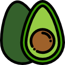 aguacate icon